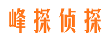 勉县市侦探调查公司